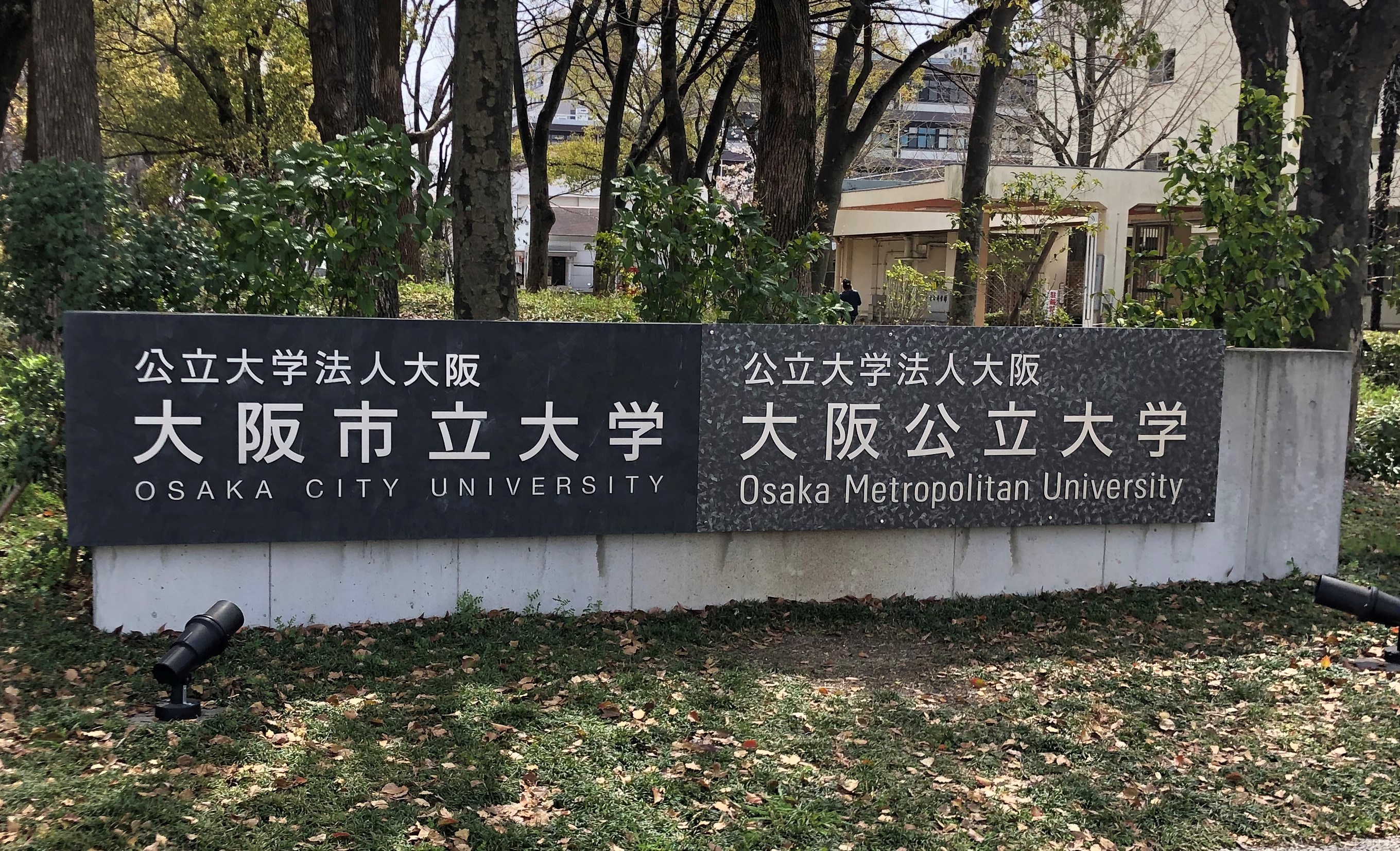 image12